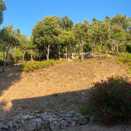 Li Paduleddi Country Guest House Olbia Luaran gambar