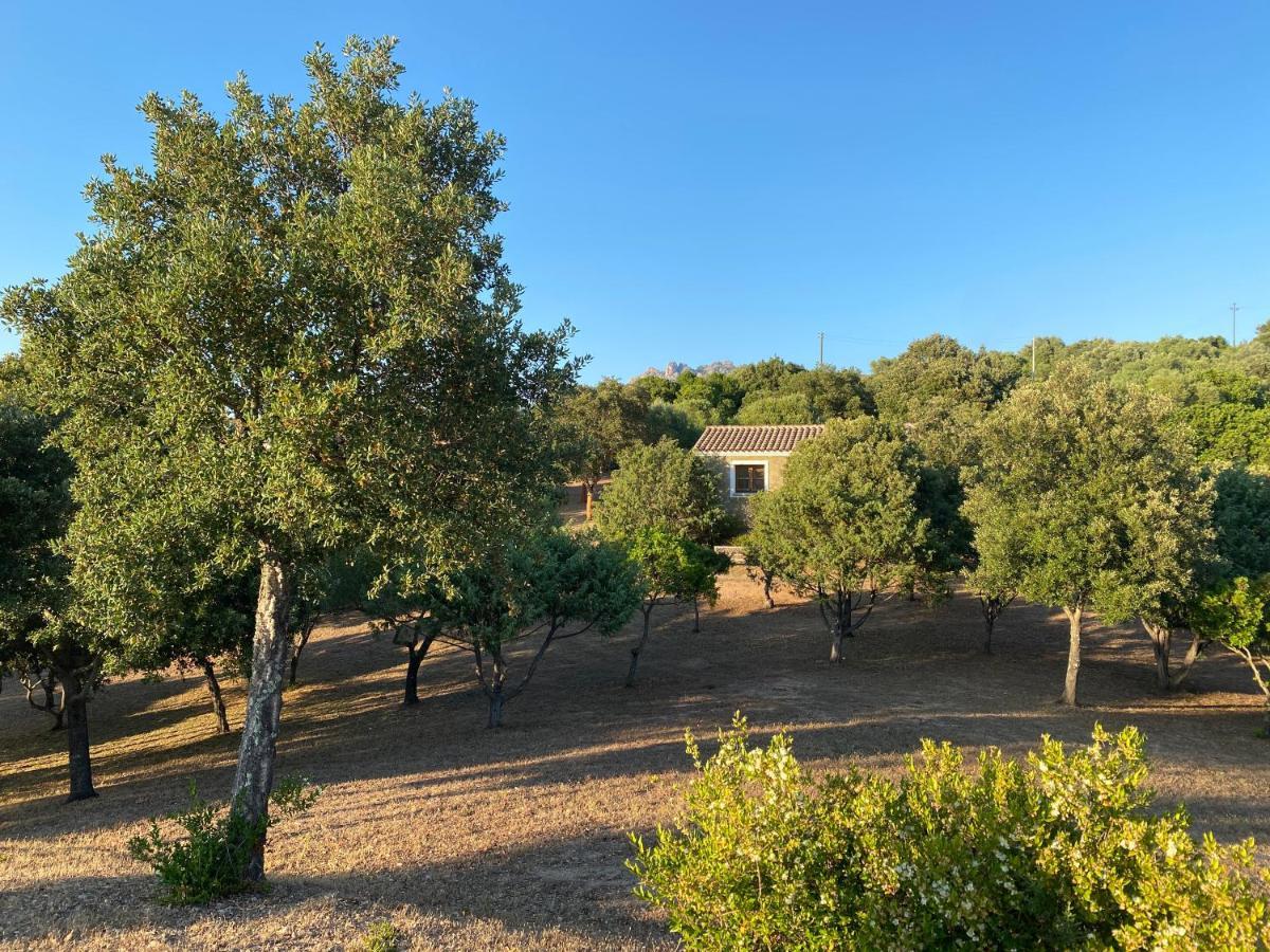Li Paduleddi Country Guest House Olbia Luaran gambar