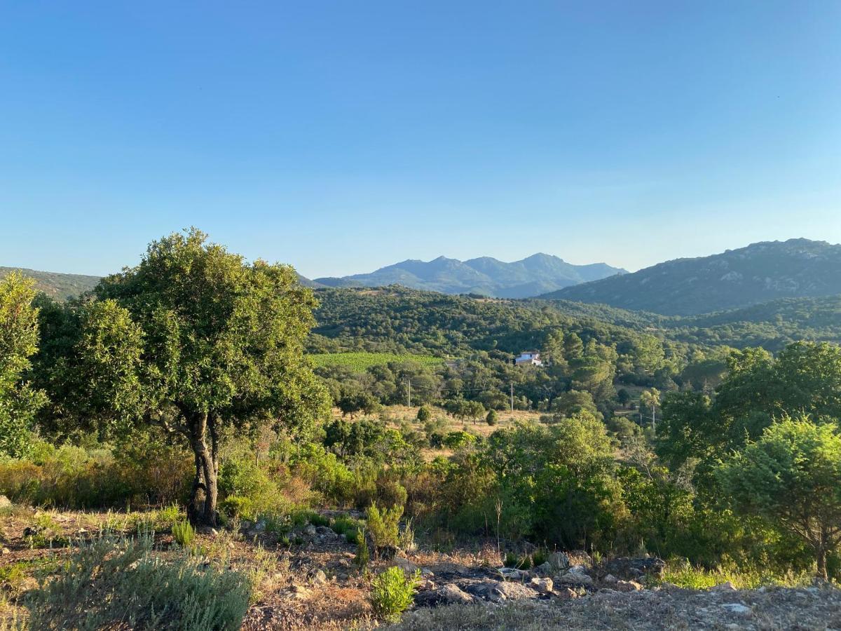 Li Paduleddi Country Guest House Olbia Luaran gambar