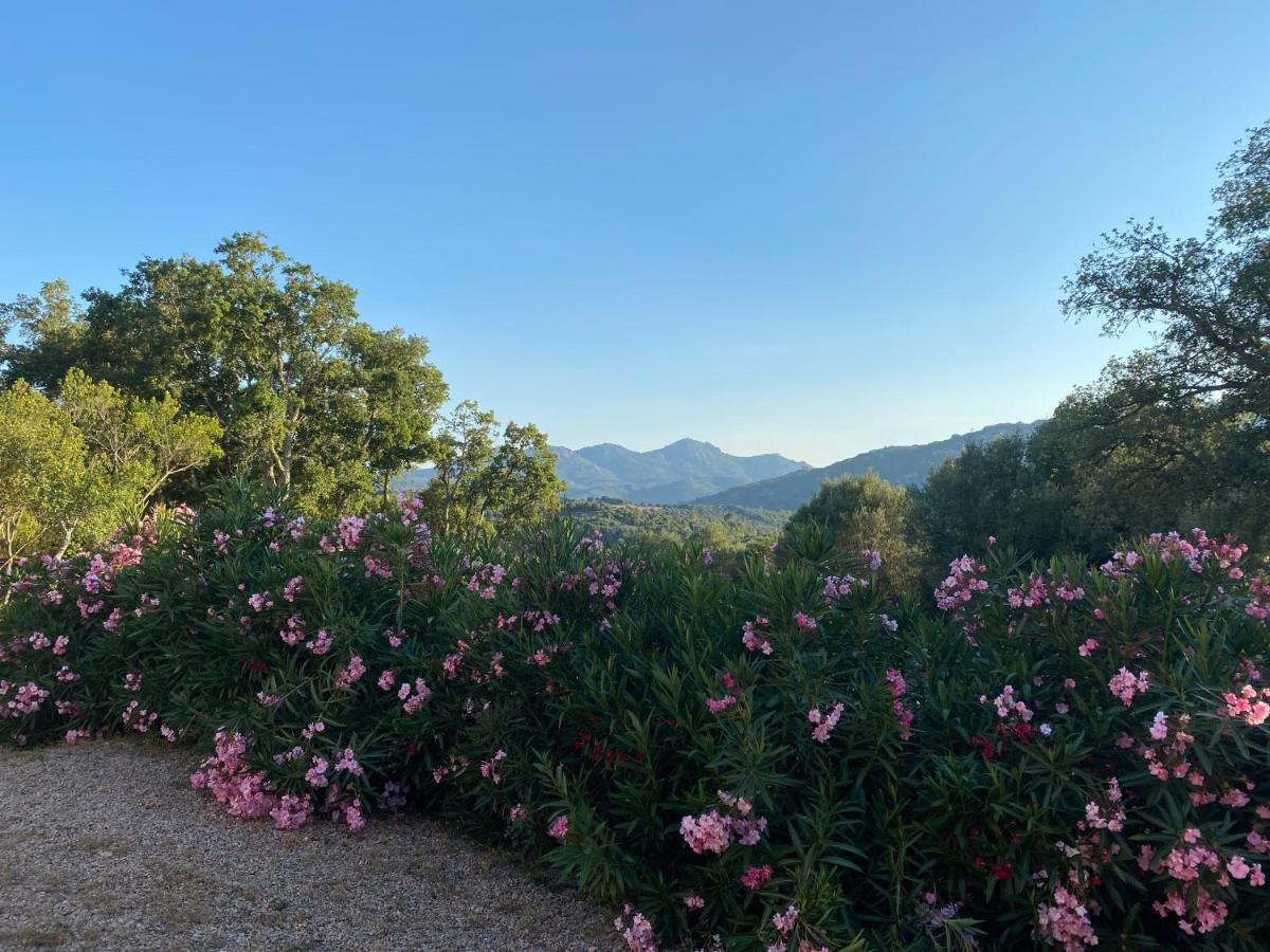 Li Paduleddi Country Guest House Olbia Luaran gambar